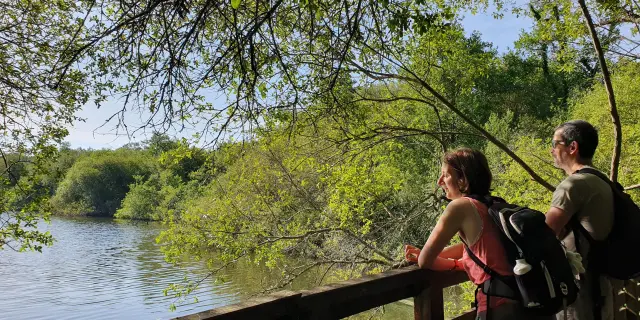 Reserva Etang Noir Seignossetourisme 17
