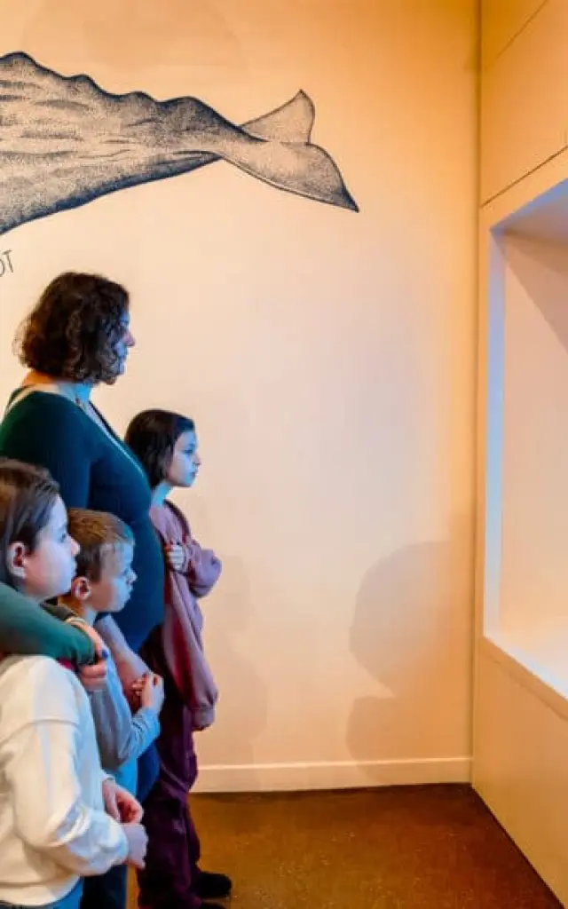 Exhibition at the Museum of the Sea