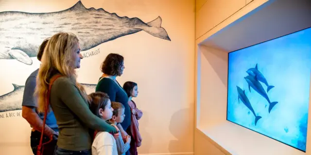 Ausstellung im Meeresmuseum