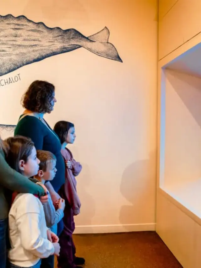 Ausstellung im Meeresmuseum