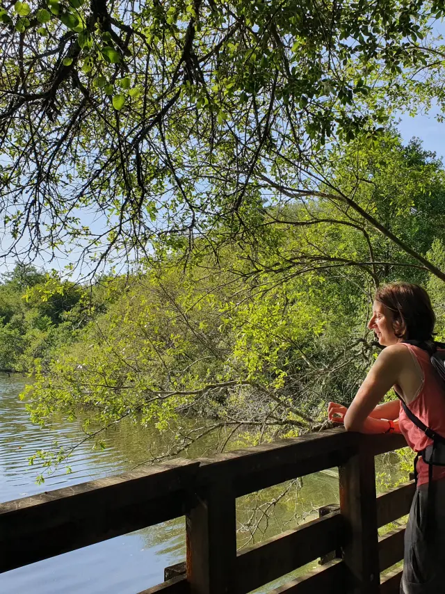 Reservat „Etang Noir“ Seignossetourisme 17 1