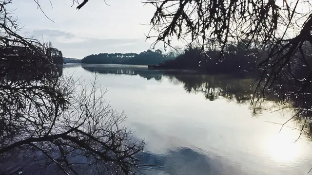 Balade Etang Noir Seignosse Landes 2