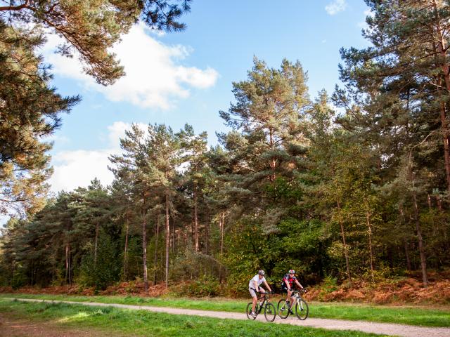 Foretdebordlouviers9©normandie Photo.com