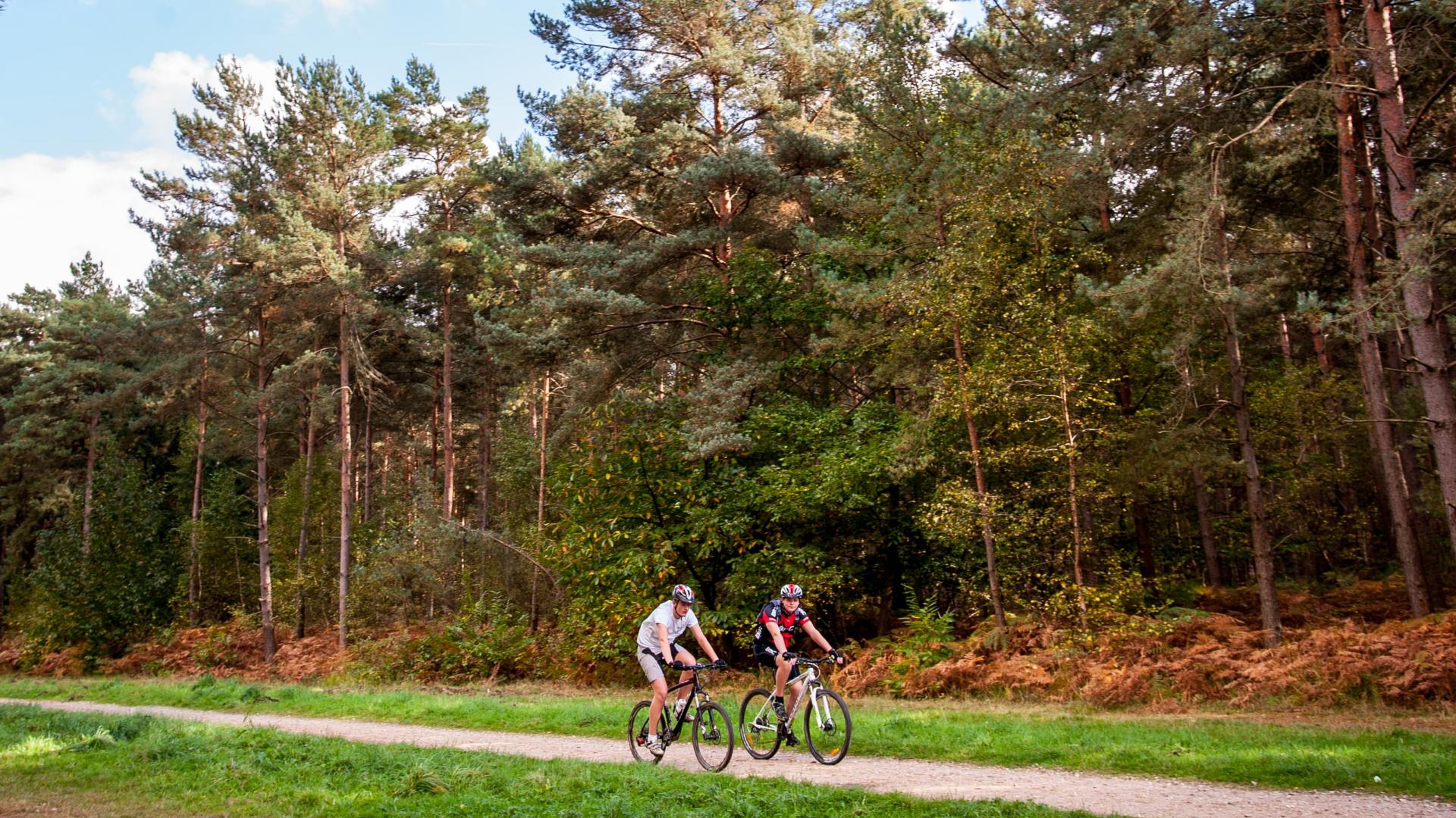 La Forêt de Bord-Louviers | Office de Tourisme Seine et Eure