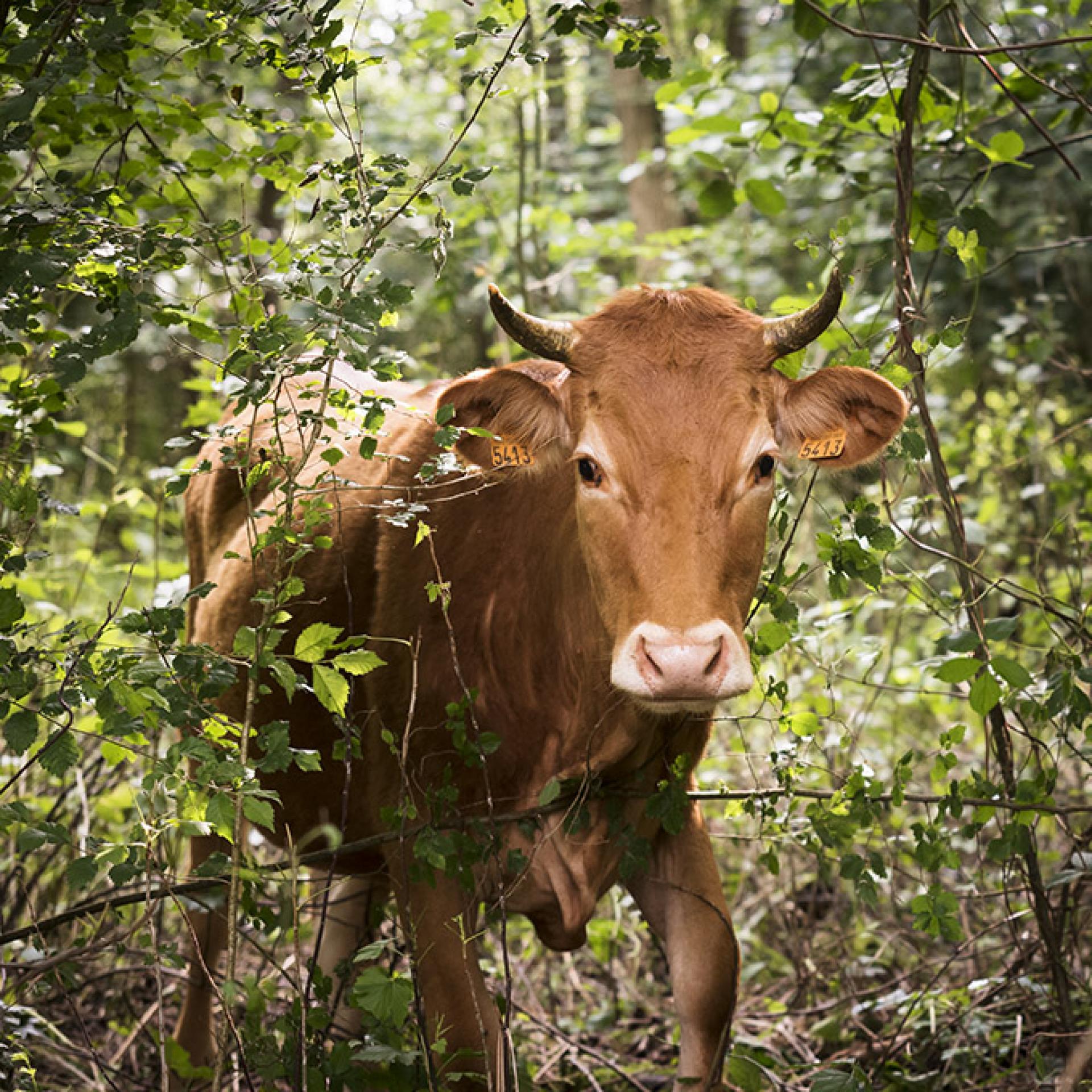 Découvrez la biodiversité | Office de Tourisme Seine et Eure