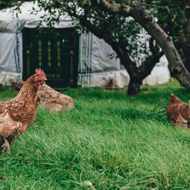 Annie Spratt 0melfgrf8em Unsplash