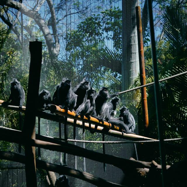 Christian Lambert G2 Rjyifkk Unsplash