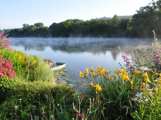 photo du bord de seine avec fleurs, nénuphars, arbres et brume du matin en Normandie