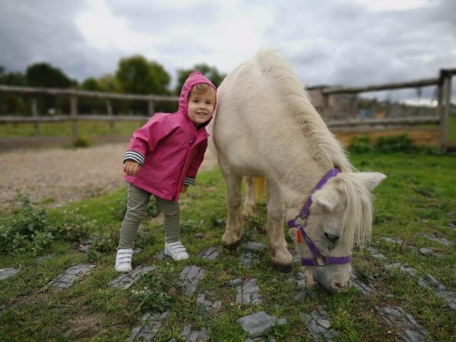 La ferme Anymania