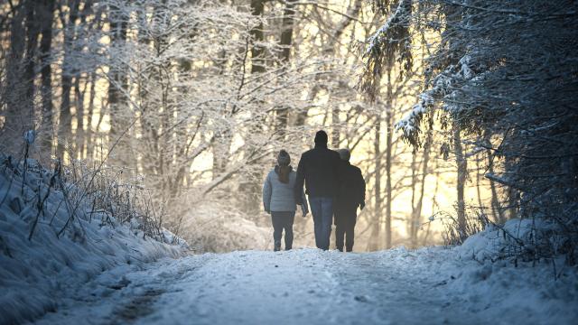 photo d'une Famille de dos En Forêt Sous La Neige