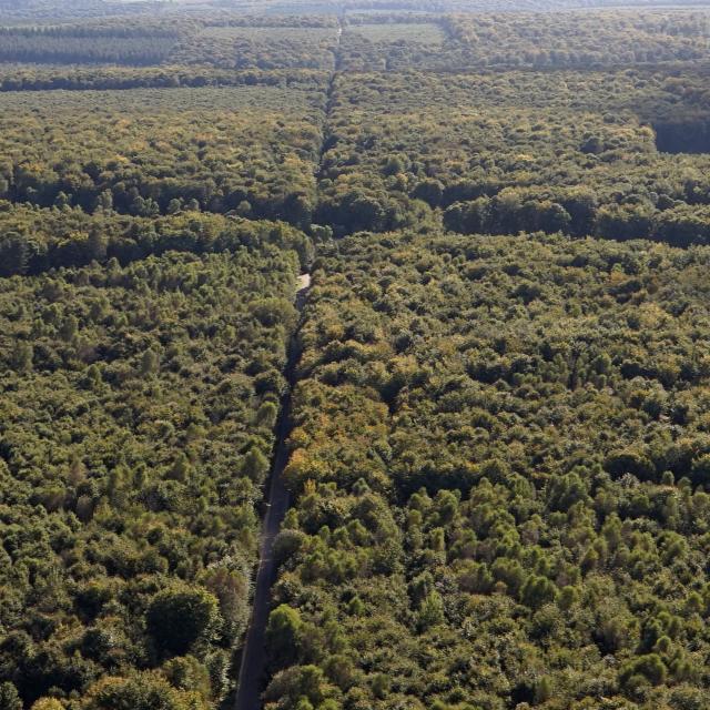 photo Aérienne De La Forêt De Bord en été entre Pont de l'Arche et Louviers dans l'Eure en Normandie