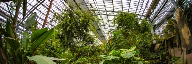 Serre tropicale de Biotropica au Parc Des Loisirs De Léry Poses En Normandie