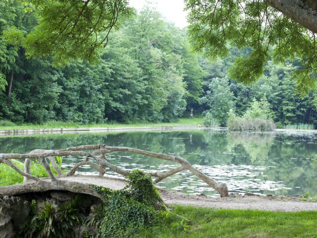 Petit pont sur la marre du Chateauform Les étangs De Saint Aubin