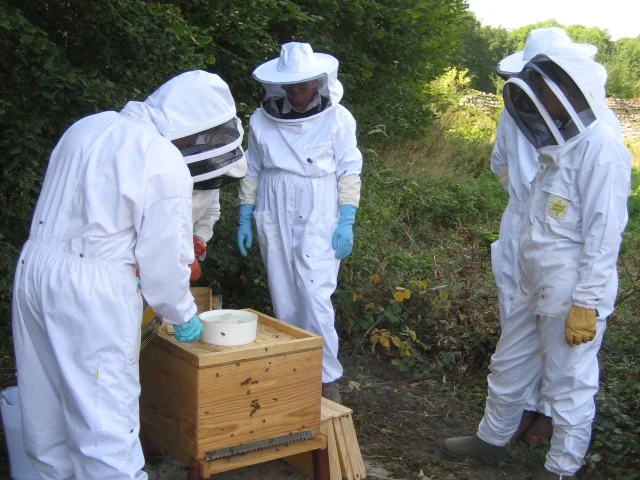 Cours D'apiculture©chateaudargeronne