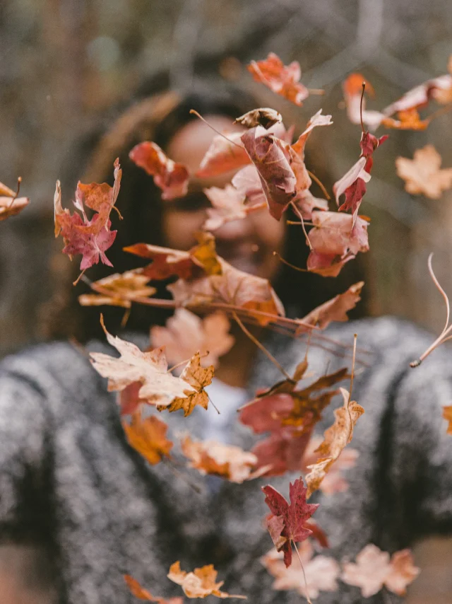Jakob Owens Ue N2i6 Trm Unsplash