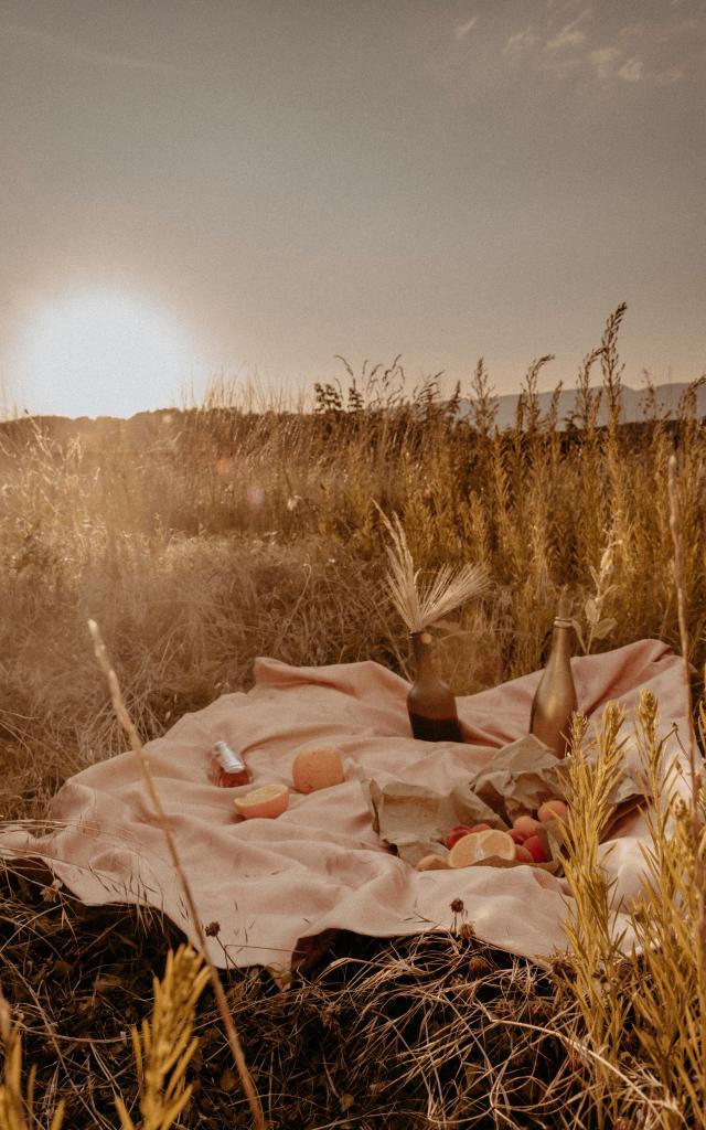 Pic-nic