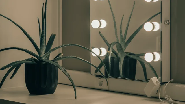 Espace culturel Marcel Pagnol - loge