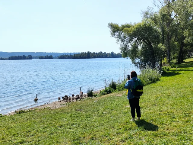 Sortie ornithologique au bord du lac des Deux Amants - Val-de-Reuil