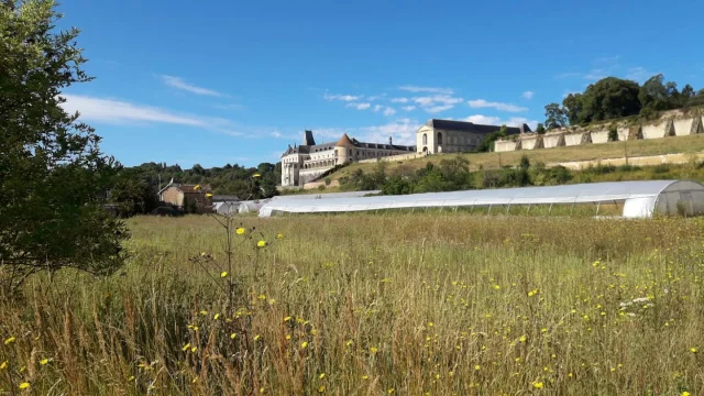 Les Legumes Du Chateau 7