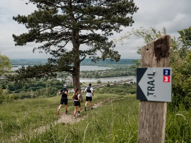 Trail Panneau Point De Vue Marie Anais Thierry Marie Anais Thierry 26650 1600px