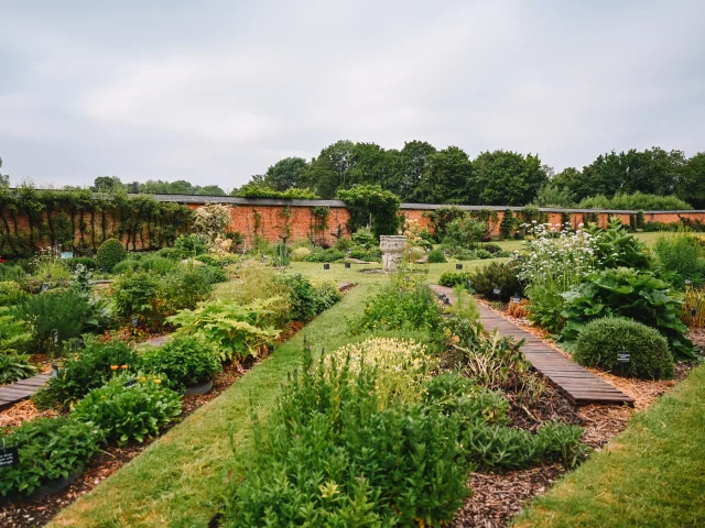 Jardins du château d'Acquigny - Potager