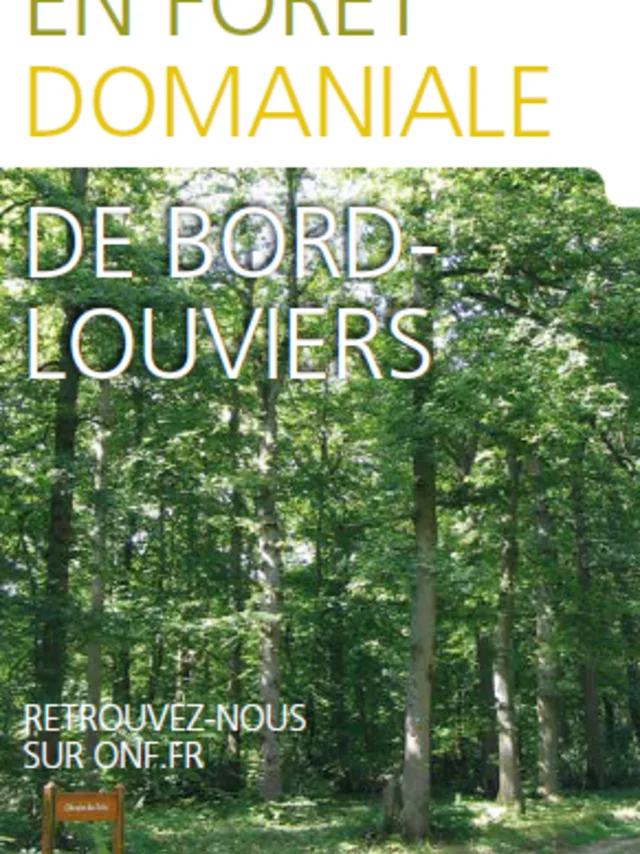 Foret De Bord Couv