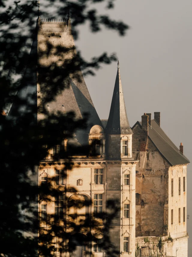 Château de Gaillon - détail