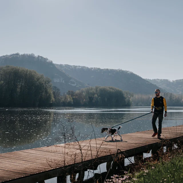Balade sportive avec son chien