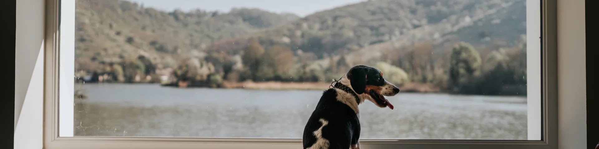 Vue sur la Seine avec son chien