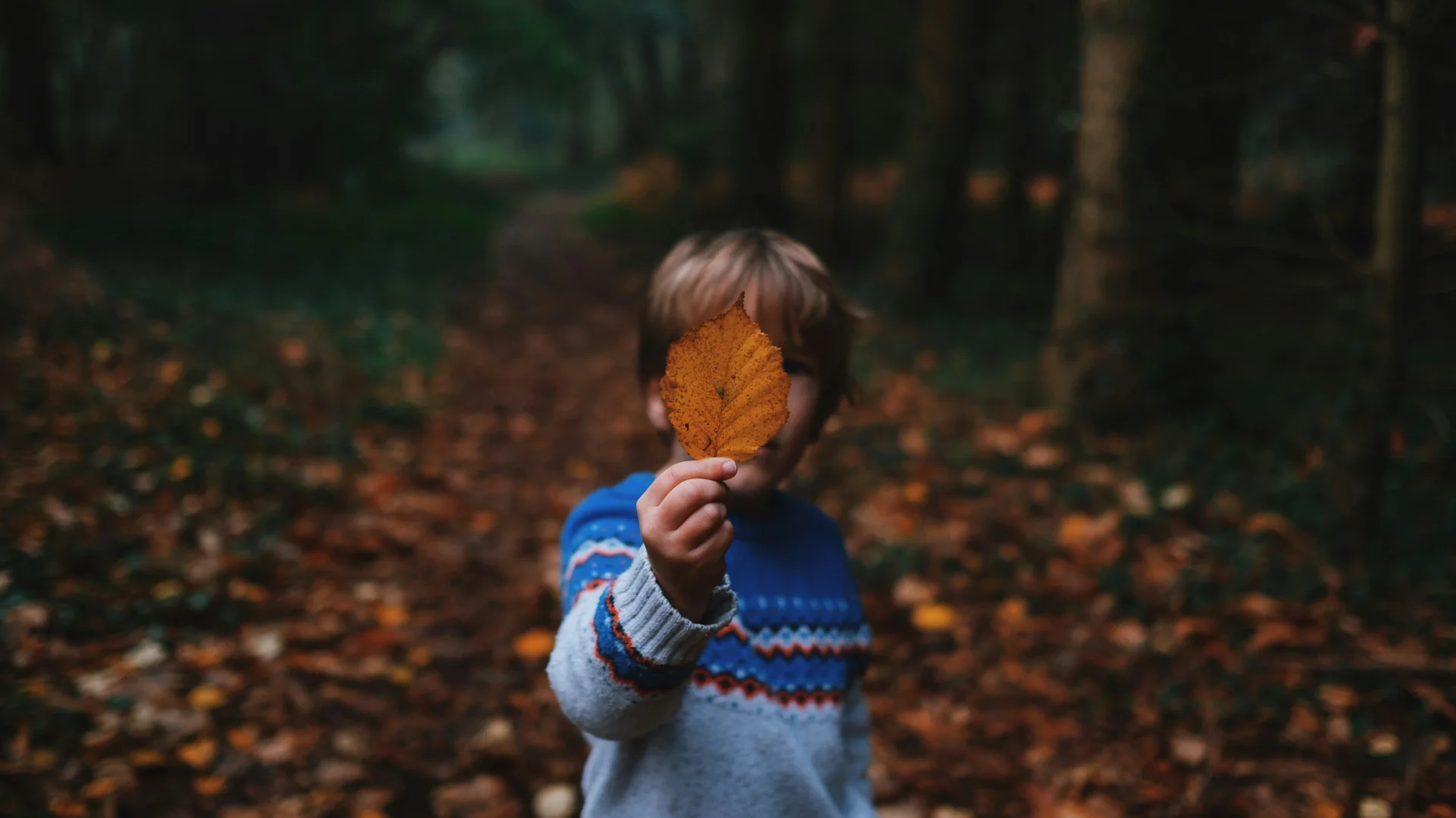 Automne vacances