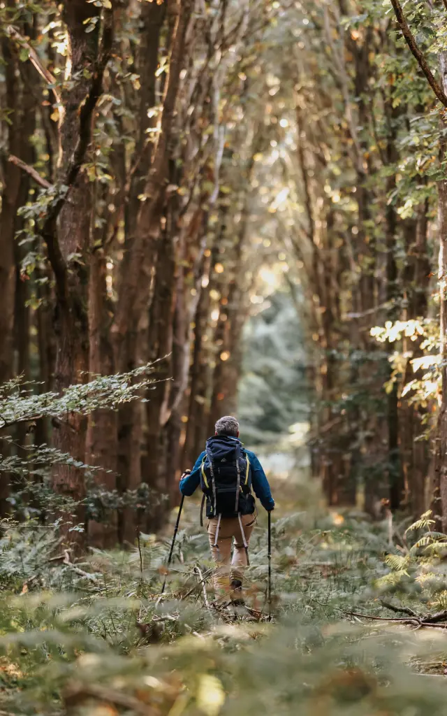 Randonnée en Forêt de Bord-Louviers