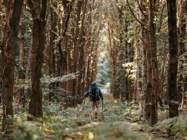 Randonnée en Forêt de Bord-Louviers