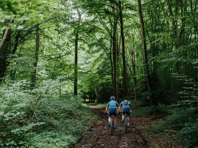 VTT en forêt de Bord-Louviers