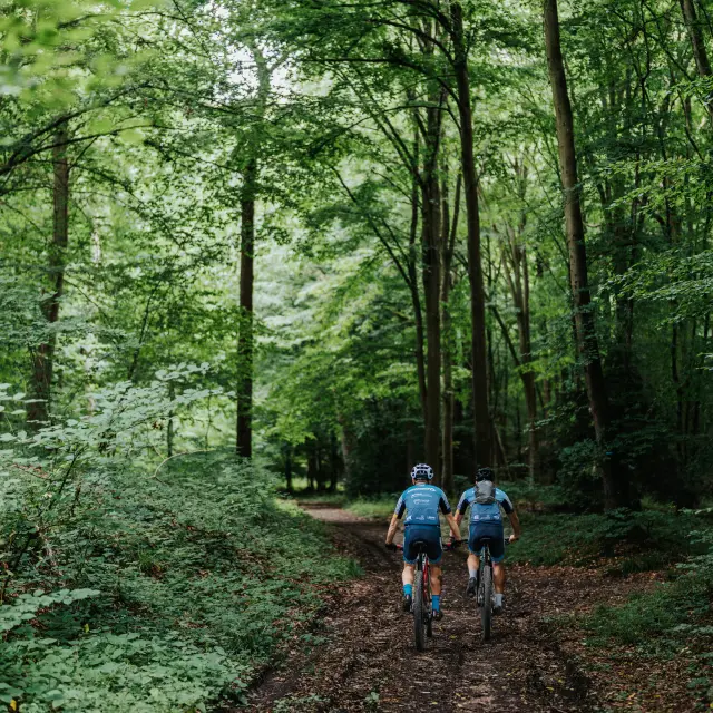 VTT en forêt de Bord-Louviers