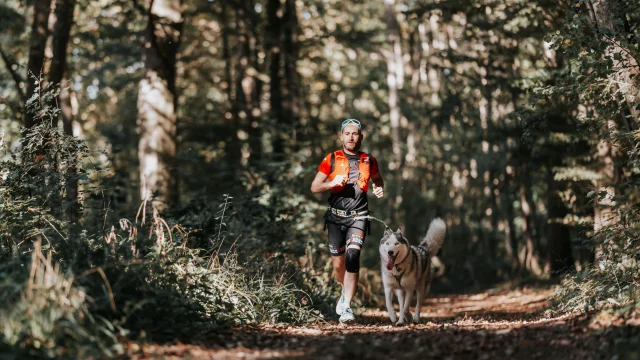Canitrail dans les bois en vallée d'Eure