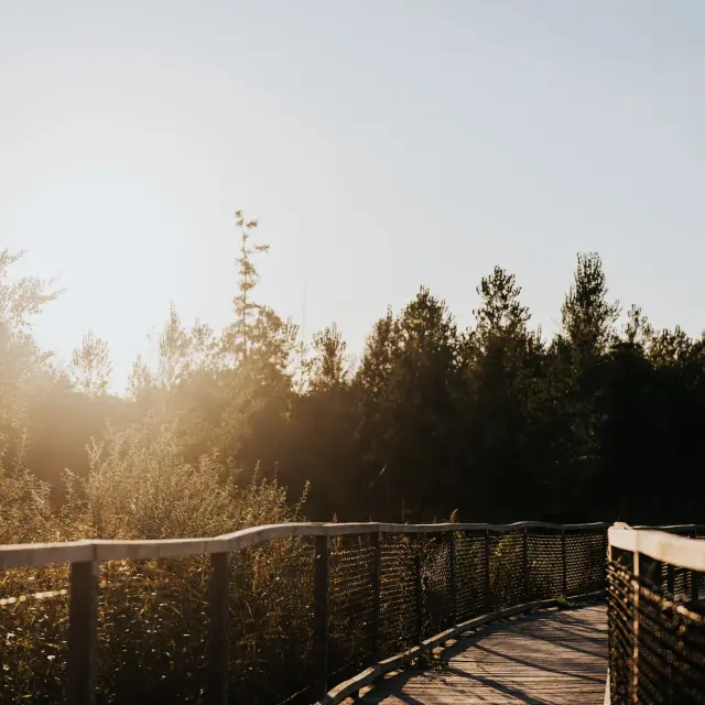 Zone humide des Patûres