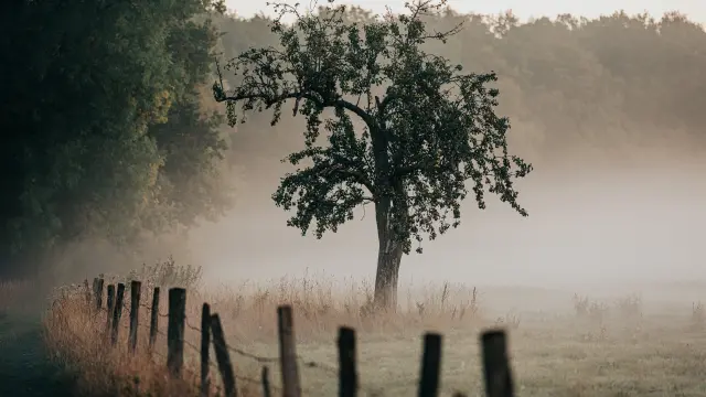 Campagne à Heudebouville