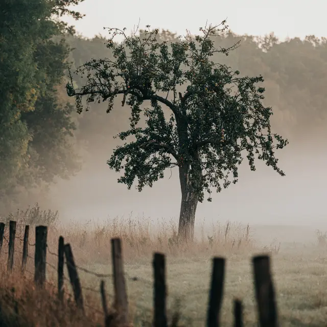 Campagne à Heudebouville