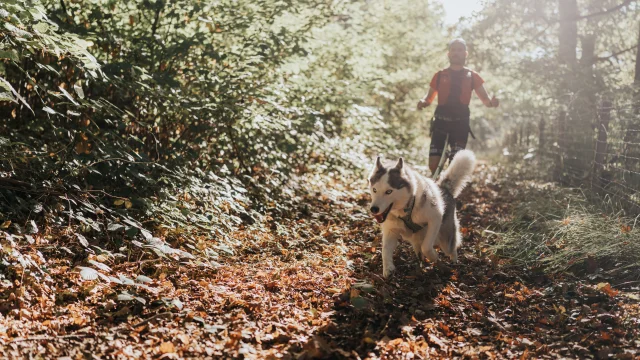 Canitrail en vallée d'Eure
