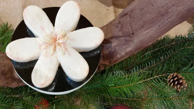 Dessert de Noël 2026, la Table d'Alva