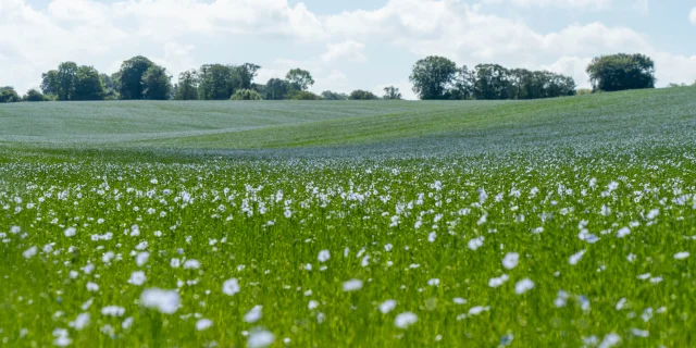 Véloroute Du Lin - Seine-Maritime