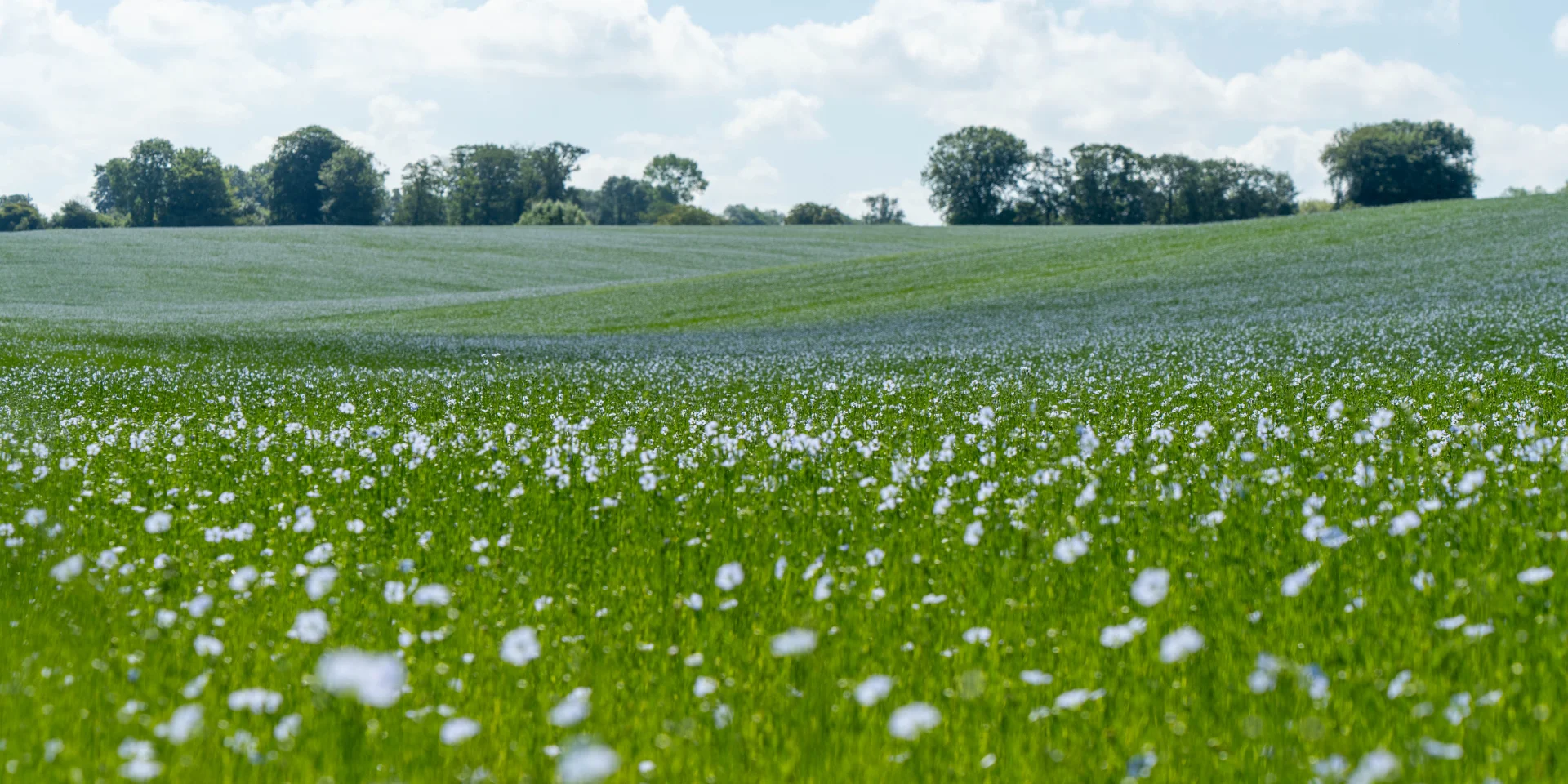 2024 06 24 Veloroute Du Lin Sma V. Debels 175