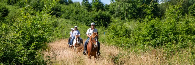 Foret de Lyons