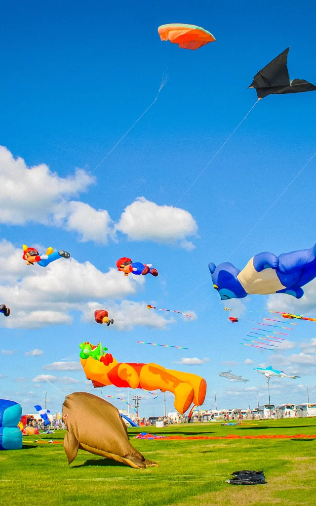 Festival Cerf Volant Dieppe @SMA-CCommunal