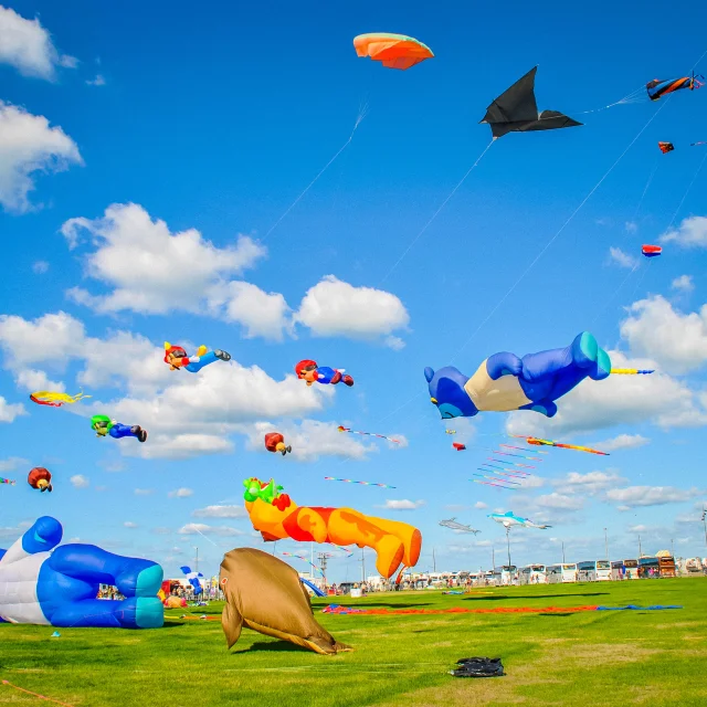 Festival Cerf Volant Dieppe @SMA-CCommunal