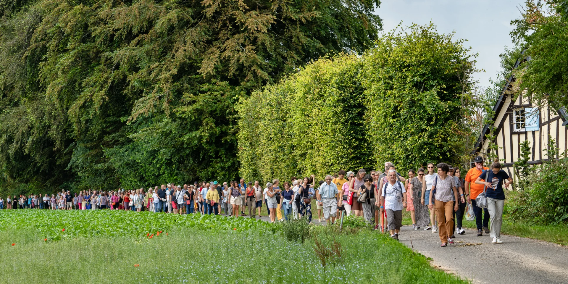 Festival du lin @Francis Cormon