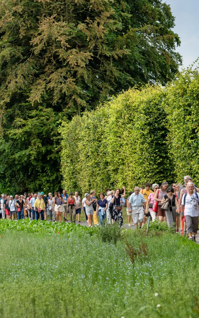Festival du lin @Francis Cormon