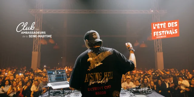 Concert DJ STONE © MICKAEL LIBLIN