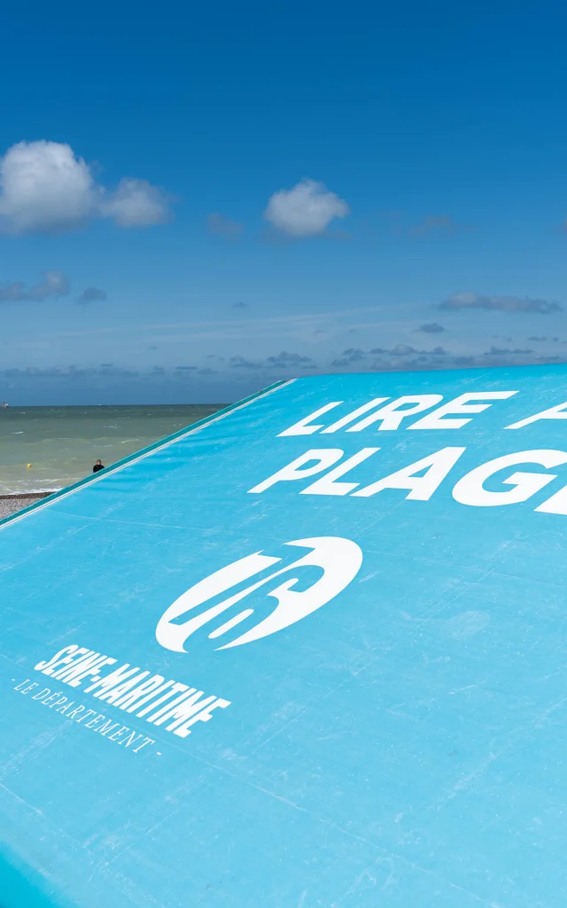 Lire A La Plage Dieppe V Debels Sma 21