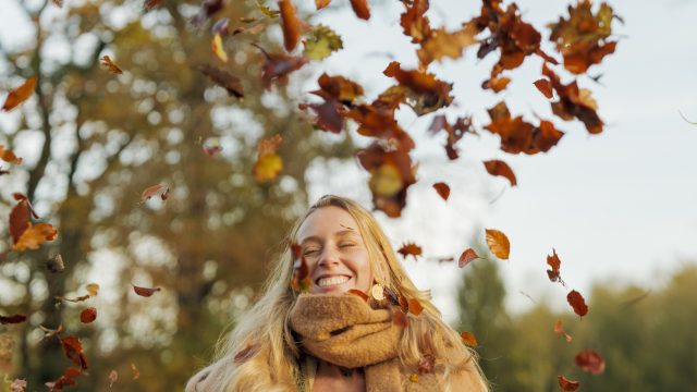 Forges Les Eaux en automne - SMA-V.Rustuel